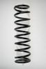 SPIDAN 49290 Coil Spring